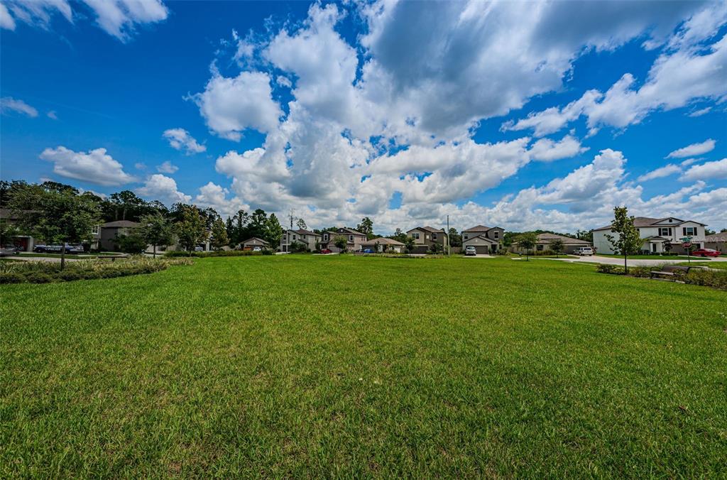 6780 Emerald Spring Loop New Port Richey, FL 34653 - Photo 77 of 83 Gallery Image 77