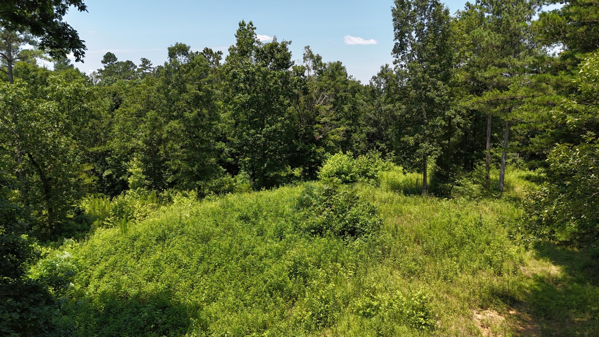 2324 County Road 758 Riceville, TN 37370 - Photo 15 of 43 Gallery Image 15