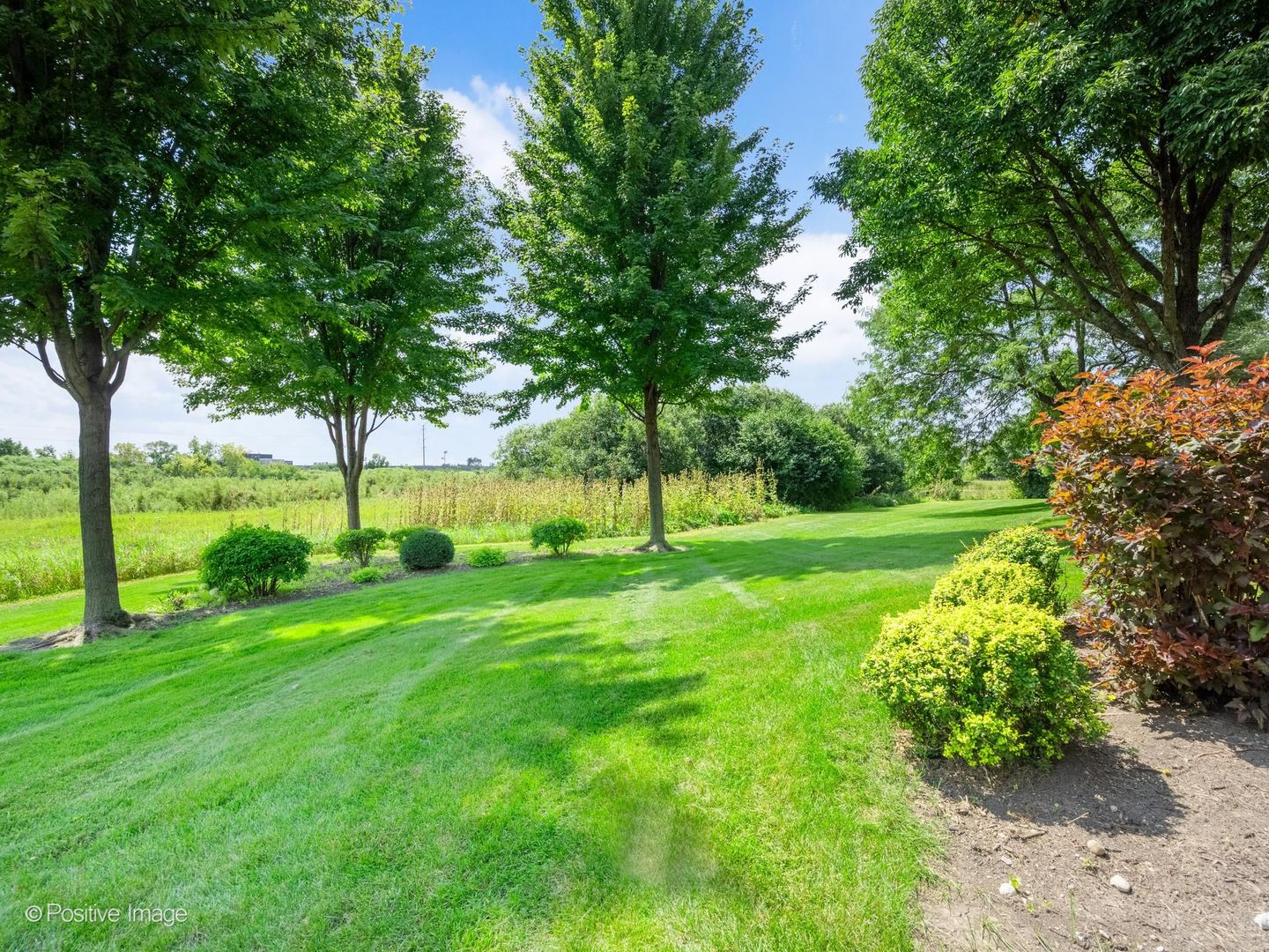 134 Chestnut Hills Circle Burr Ridge, IL 60527 - Photo 34 of 39 Gallery Image 34