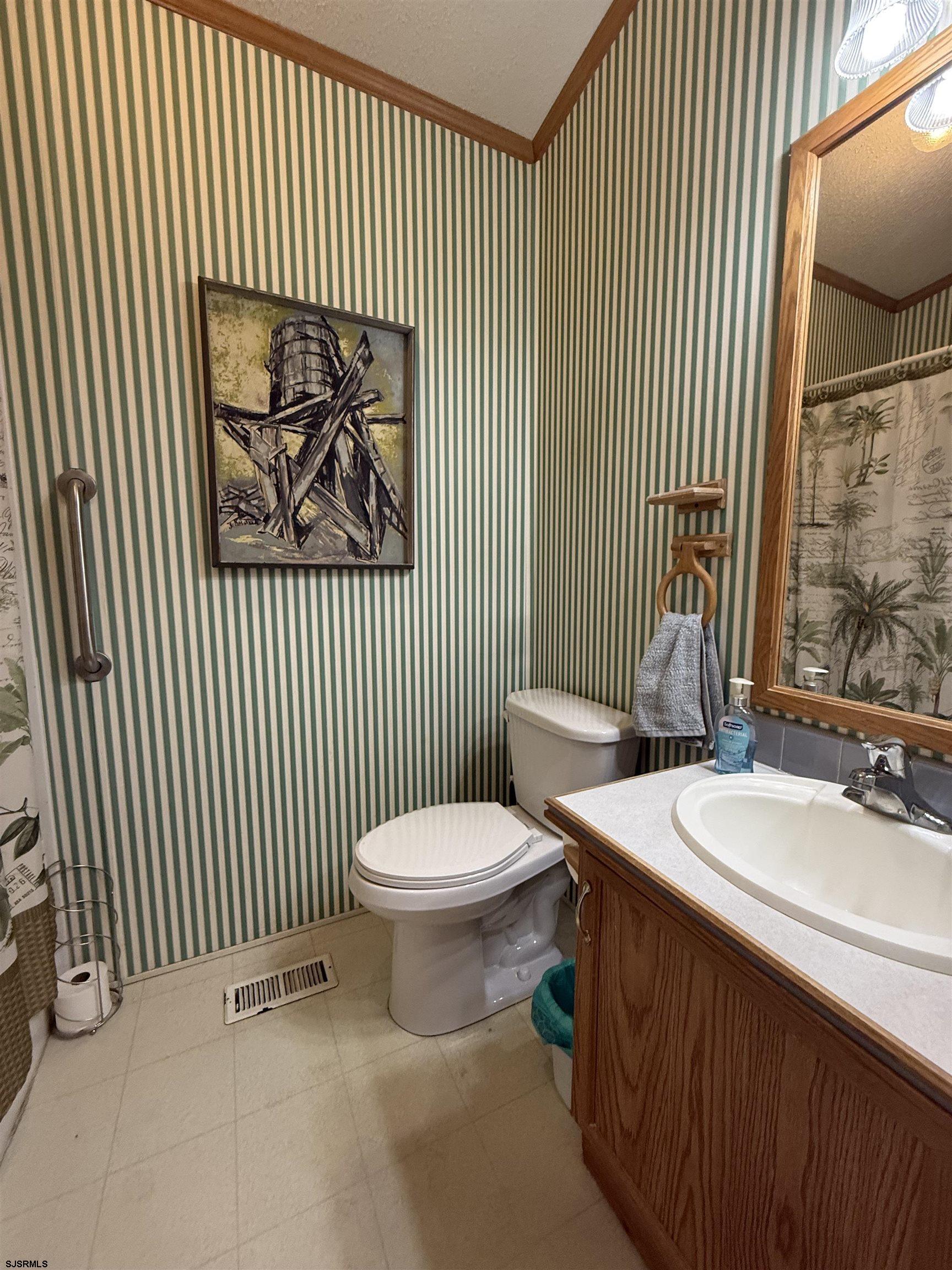 141 Country Lane Buena, NJ 08310 - Photo 12 of 24 a bathroom with a sink and a toilet