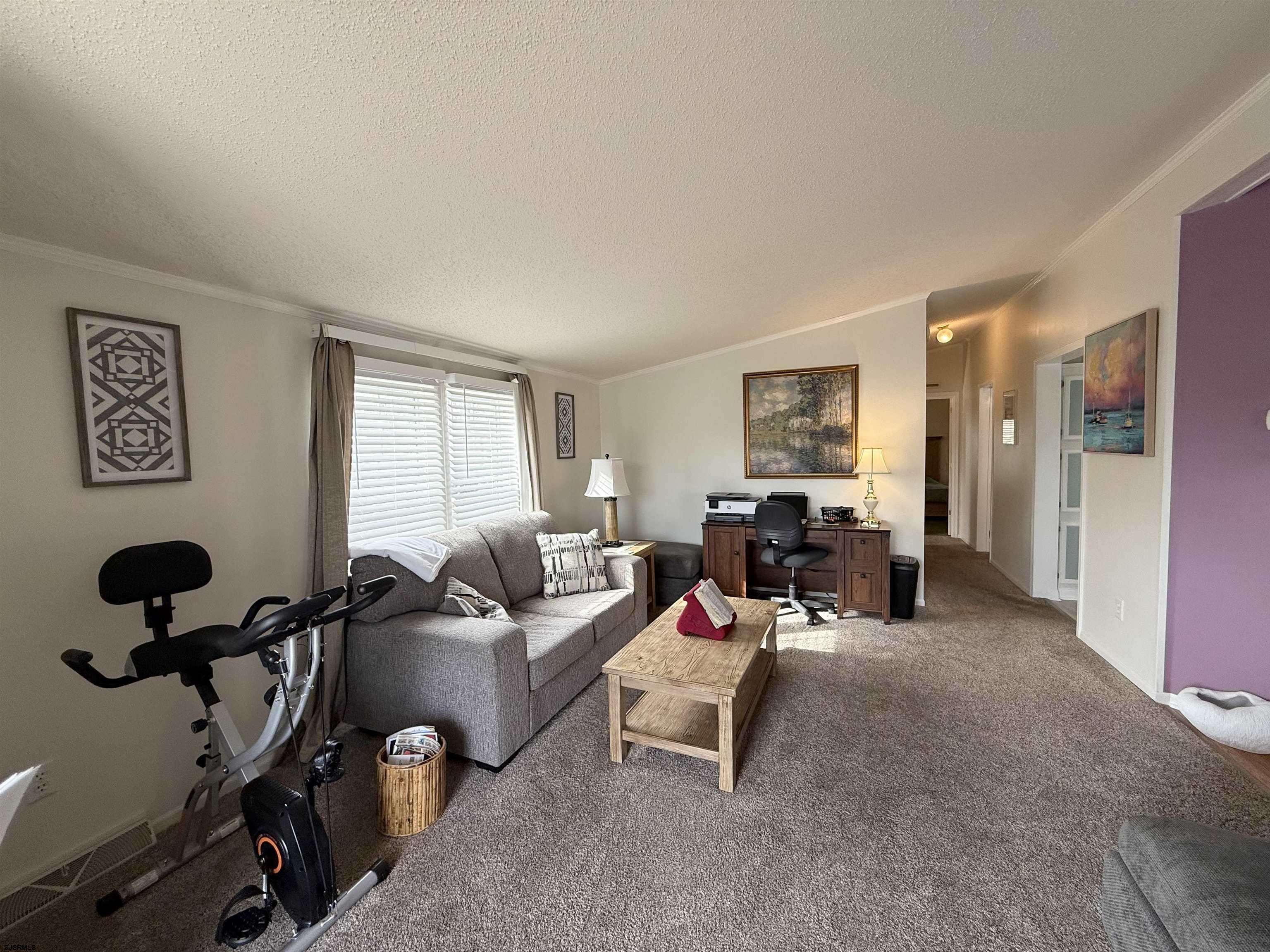 141 Country Lane Buena, NJ 08310 - Photo 2 of 24 a living room with furniture and a window
