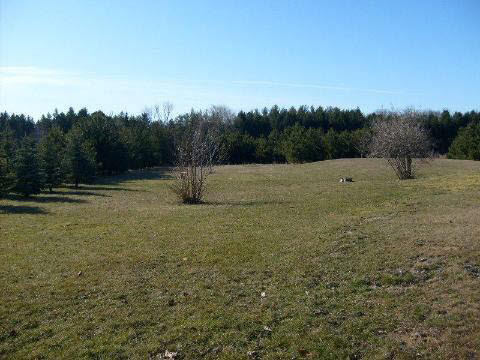 10045 Yale Road Avoca, MI 48006 - Photo 11 of 12 942775-10.JPG