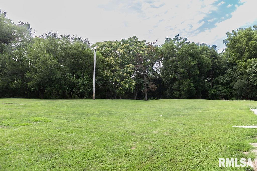 614 East 8th Street St. David, IL 61563 - Photo 47 of 52