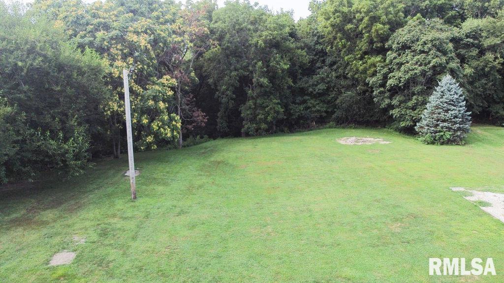 614 East 8th Street St. David, IL 61563 - Photo 48 of 52