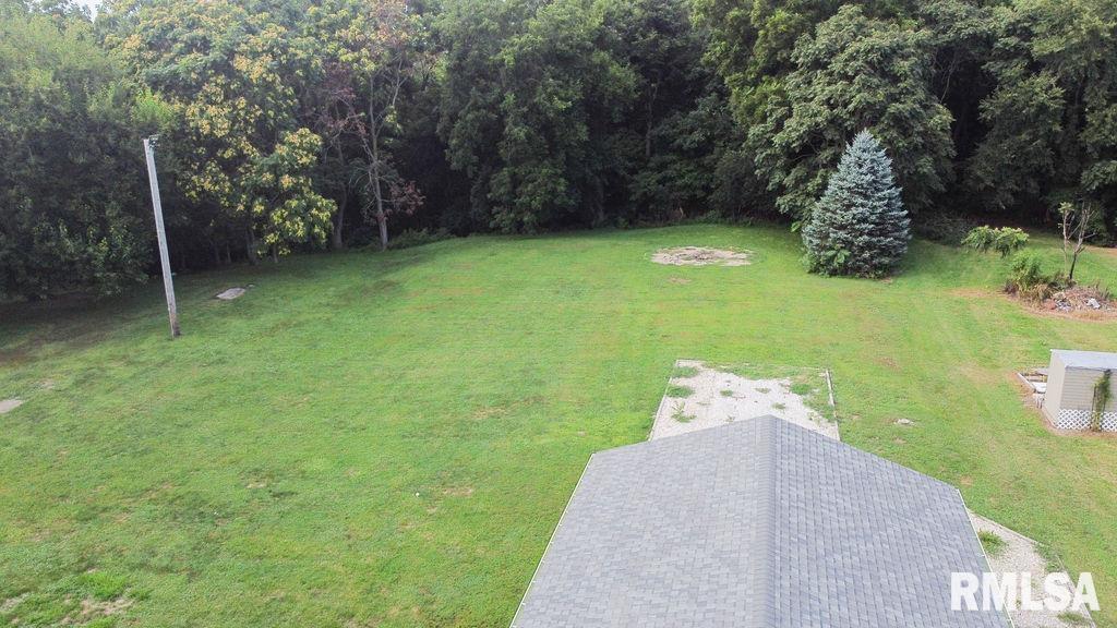 614 East 8th Street St. David, IL 61563 - Photo 50 of 52