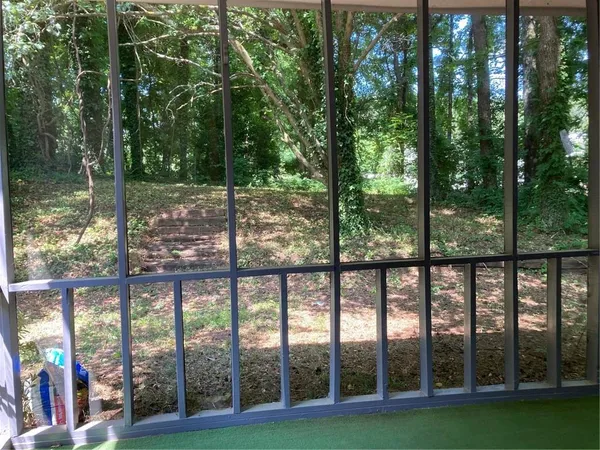 a view of a forest with trees in the background