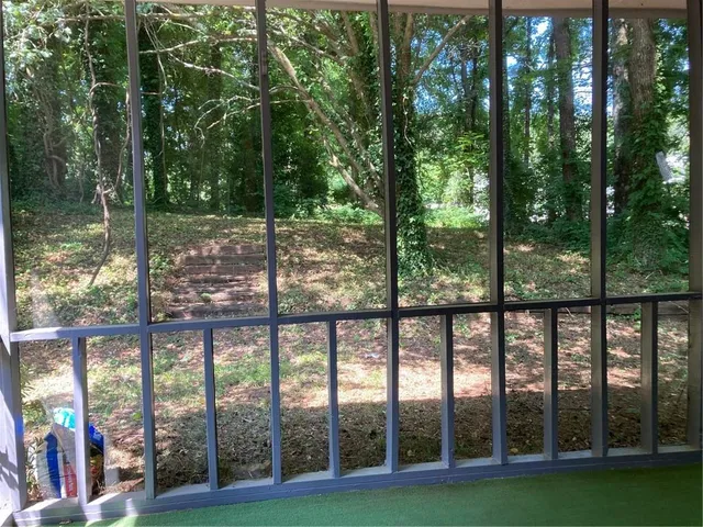 a view of a forest with trees in the background