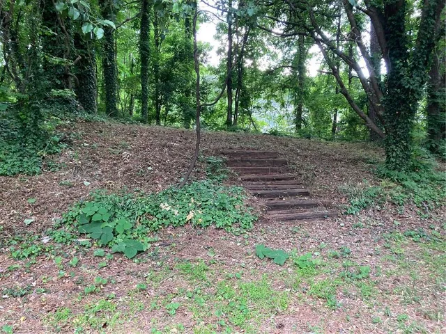 a view of backyard with small cabin and potted plants