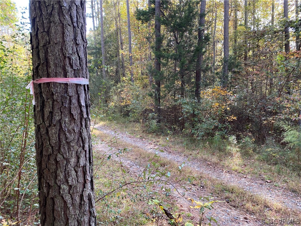 15620 River Road Chesterfield, VA 23838 - Photo 2 of 5