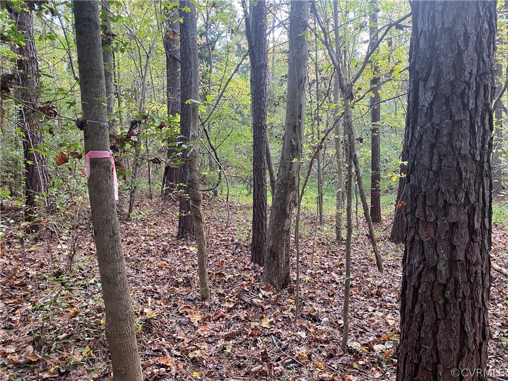 15620 River Road Chesterfield, VA 23838 - Photo 3 of 5