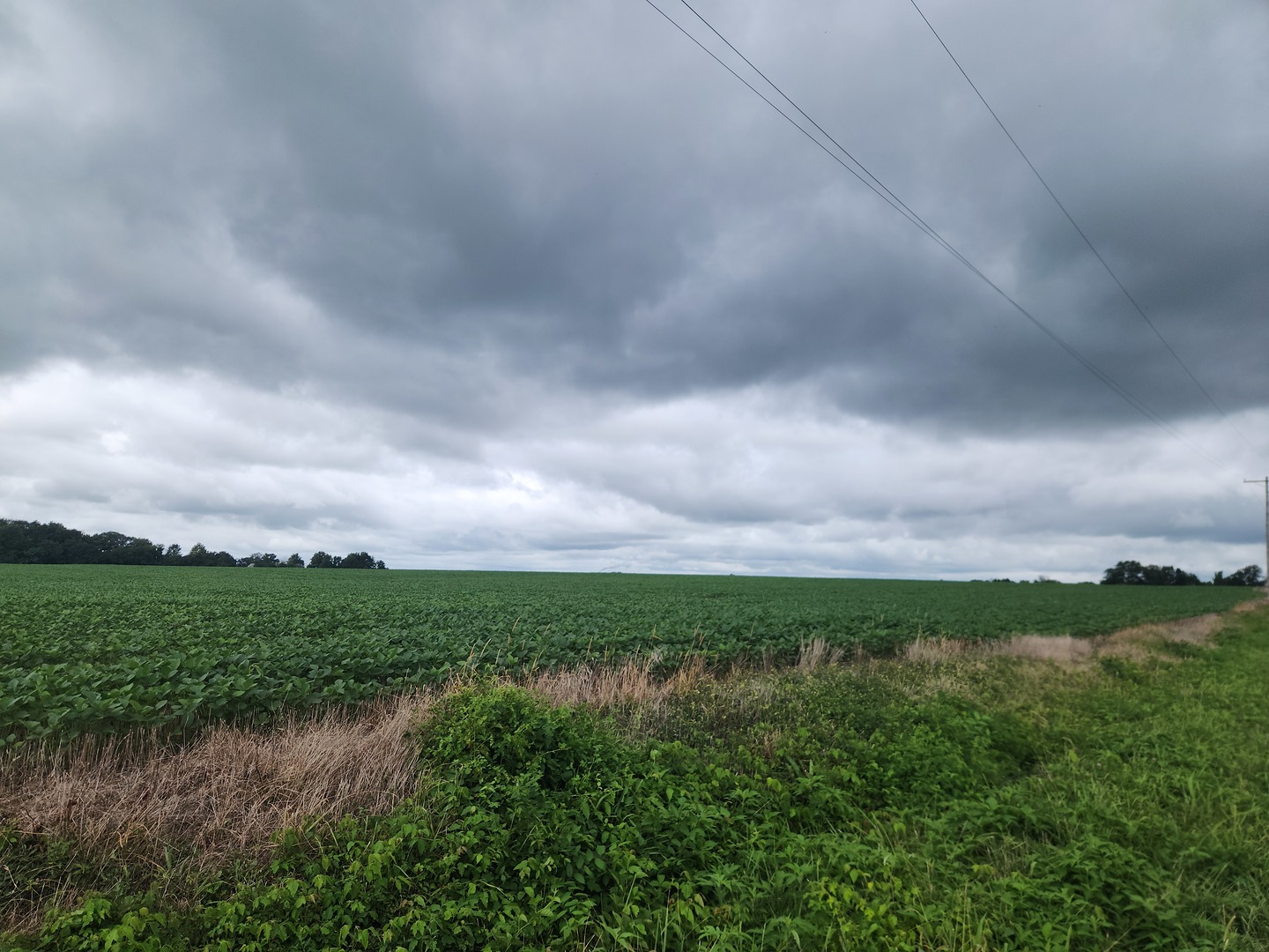 0 Lost Prairie Road Coulterville, IL 62237 - Photo 1 of 2 Gallery Image 1