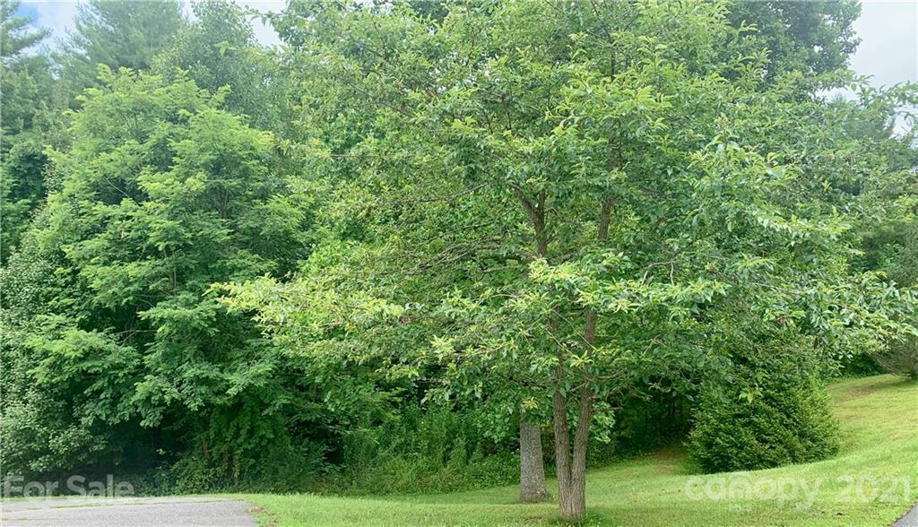 19 Hughey Road Alexander, NC 28701 - Photo 2 of 12 Gallery Image 2