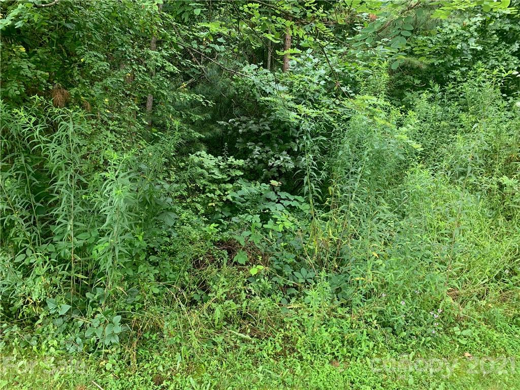19 Hughey Road Alexander, NC 28701 - Photo 11 of 12 Gallery Image 11