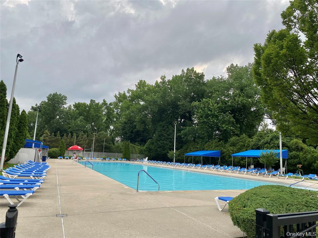 32 A Berkshire Road Great Neck, NY 11023 - Photo 38 of 38 Parkwood Pool