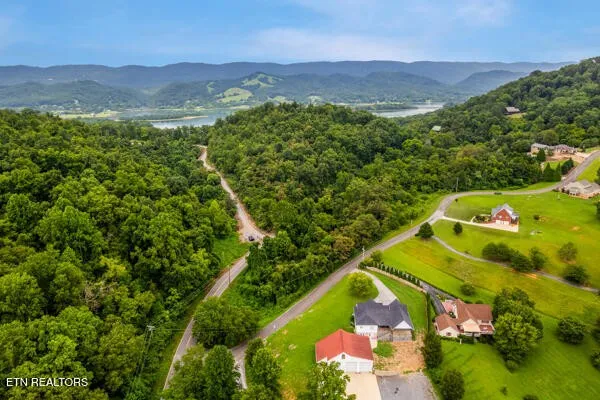 a view of a lush green hillside and a houses