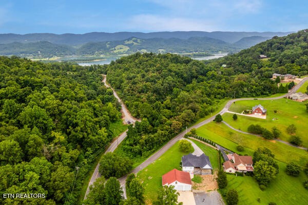 12 Rhondas Way Bean Station, TN 37708 - Photo 5 of 14 a view of a lush green hillside and a houses