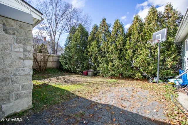 a view of a yard with plants and trees
