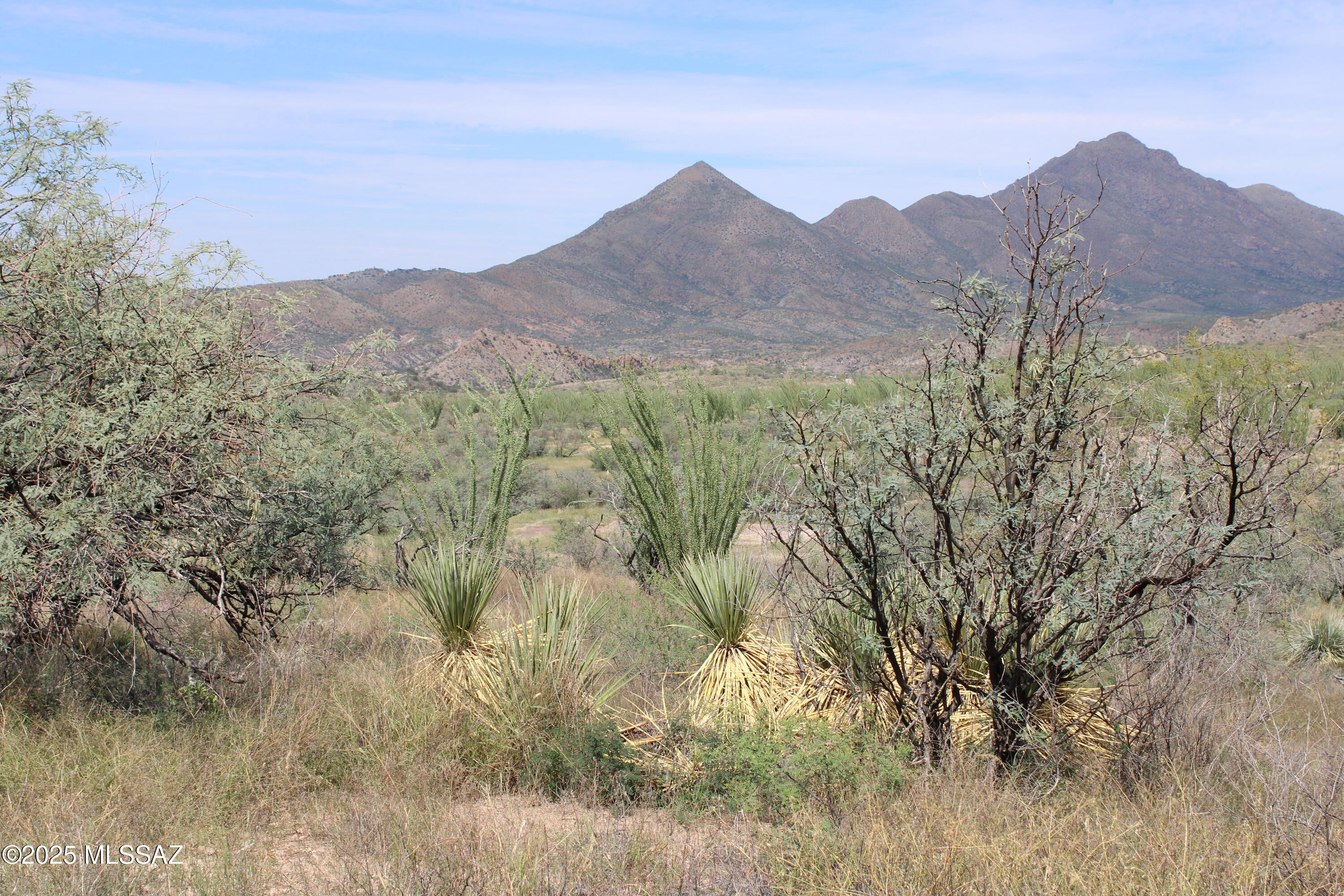 1141 Paseo Molango, Unit 47 Rio Rico, AZ 85648 - Photo 5 of 7