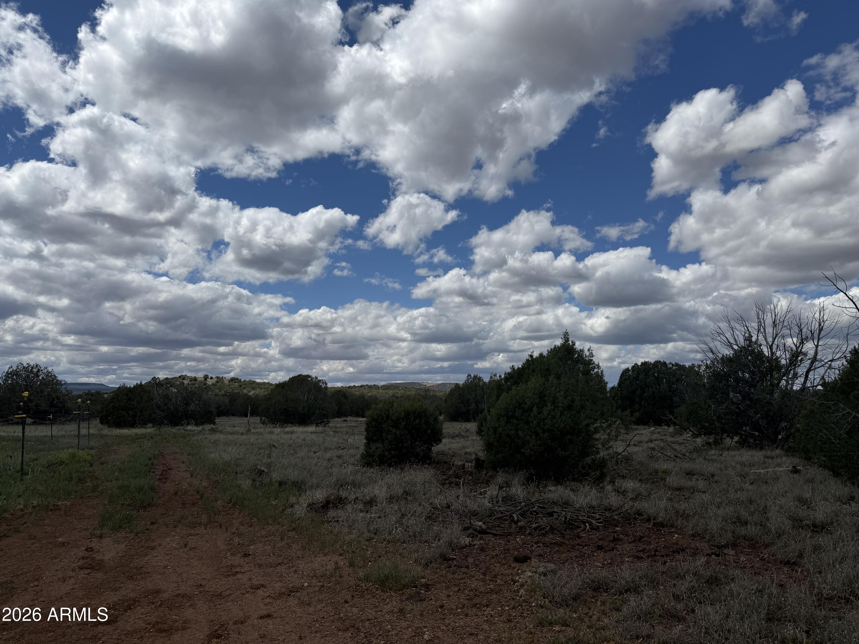 1 Hideaway Road Ash Fork, AZ 86320 - Photo 28 of 43 a view of a bunch of trees in background