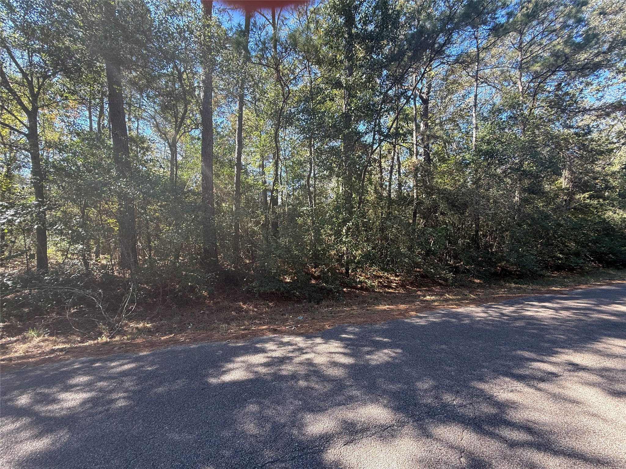 Tbd3 Lake Shore Drive Conroe, TX 77303 - Photo 6 of 6 a view of a forest with trees