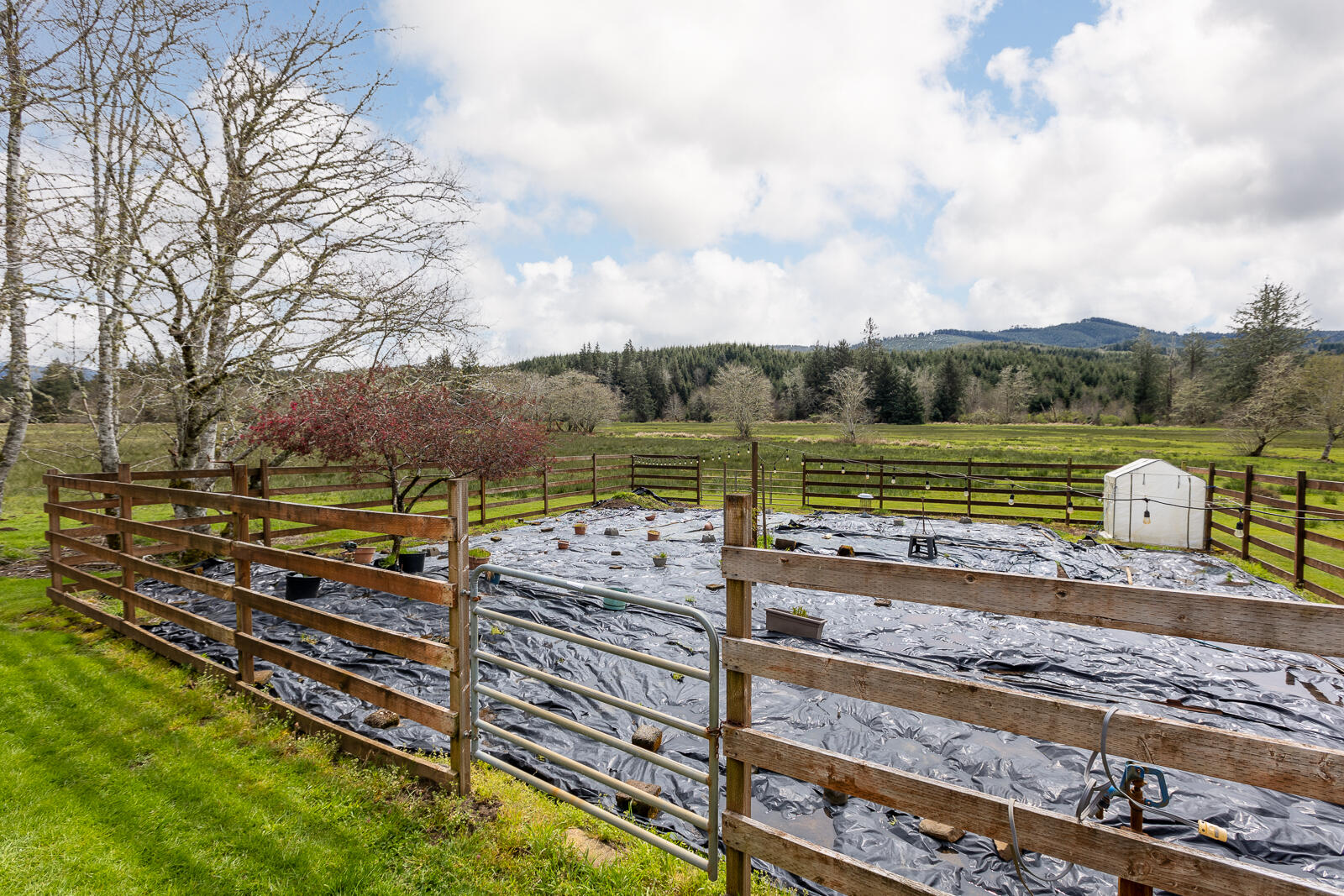 17775 Sandlake Road Cloverdale, OR 97112 - Photo 25 of 39 Garden