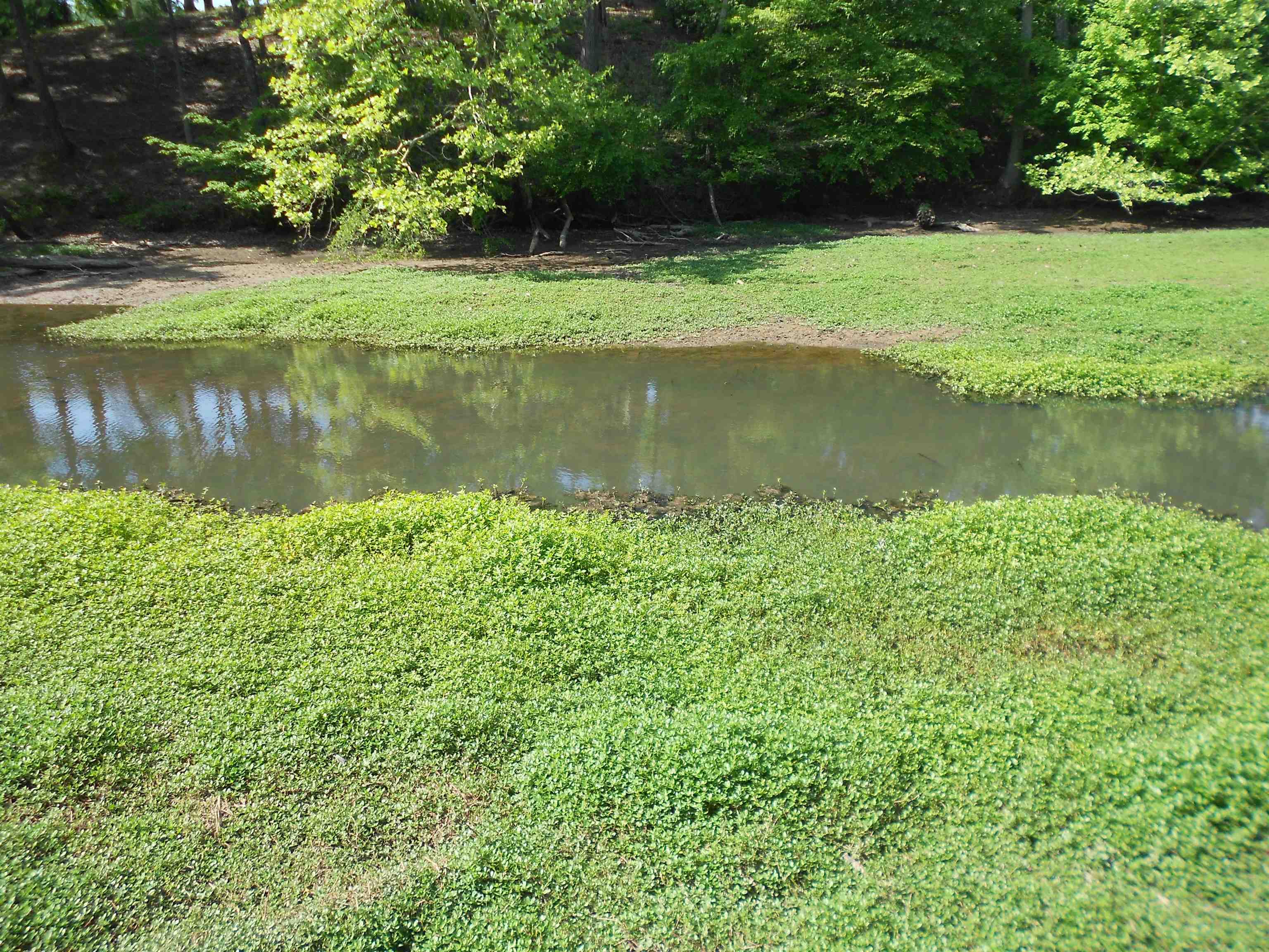Lot 15-16 Cypress Road Clover, SC 29710 - Photo 4 of 15