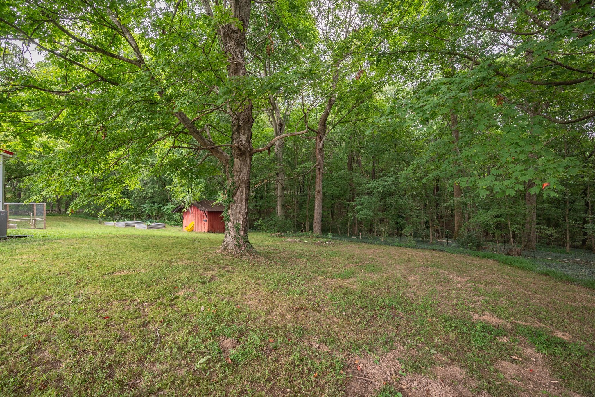 2575 Battle Creek Road Springfield, TN 37172 - Photo 25 of 26 a backyard of a house with plants and large trees