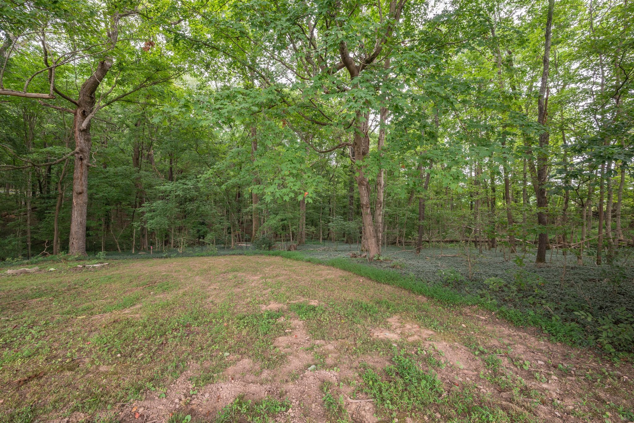 2575 Battle Creek Road Springfield, TN 37172 - Photo 26 of 26 a view of a big yard with trees
