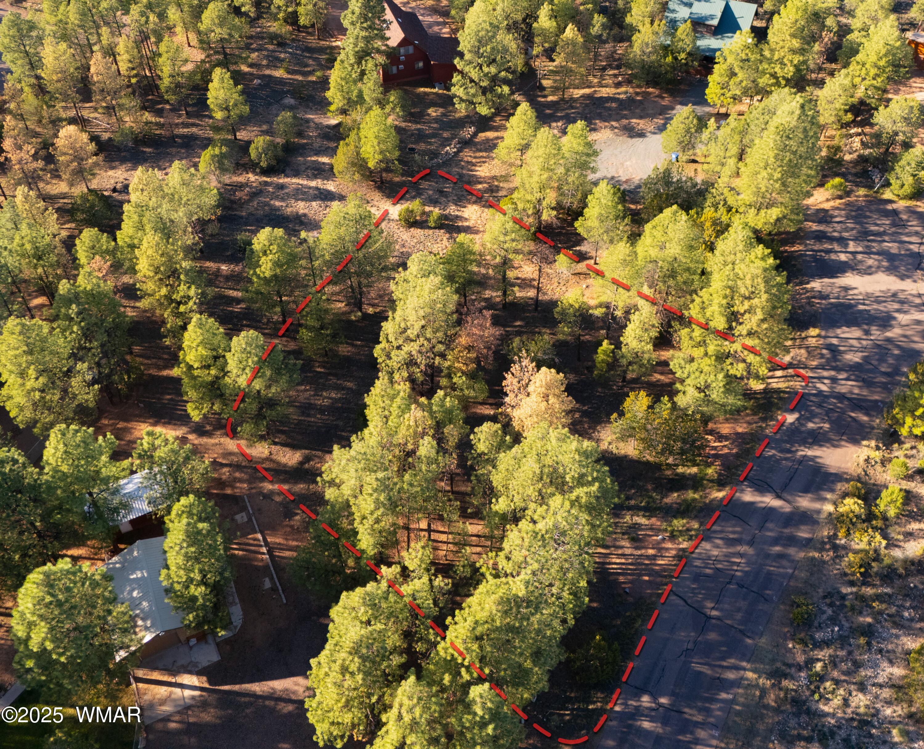 2974 East Lookout Lane Overgaard, AZ 85933 - Photo 2 of 2 Revised Drone with lot lines_small
