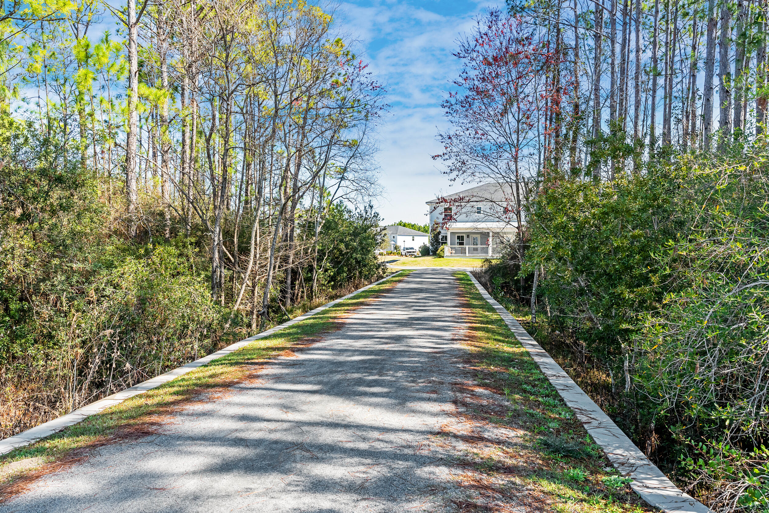 16 Golden Bell Ct Inlet Beach, Unit 16C Inlet Beach, FL 32461 - Photo 31 of 32 a view of a backyard with plants