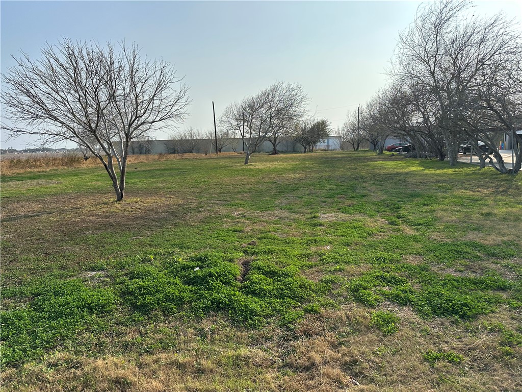 0 Bratton Corpus Christi, TX 78413 - Photo 2 of 5 a backyard of apartments with large trees
