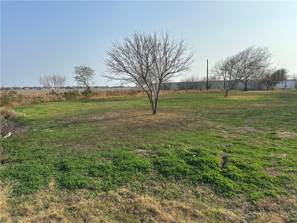 0 Bratton Corpus Christi, TX 78413 - Photo 3 of 5 a view of a field with an trees