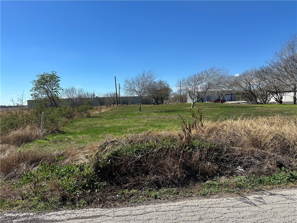 0 Bratton Corpus Christi, TX 78413 - Photo 4 of 5 a view of a garden with an outdoor space