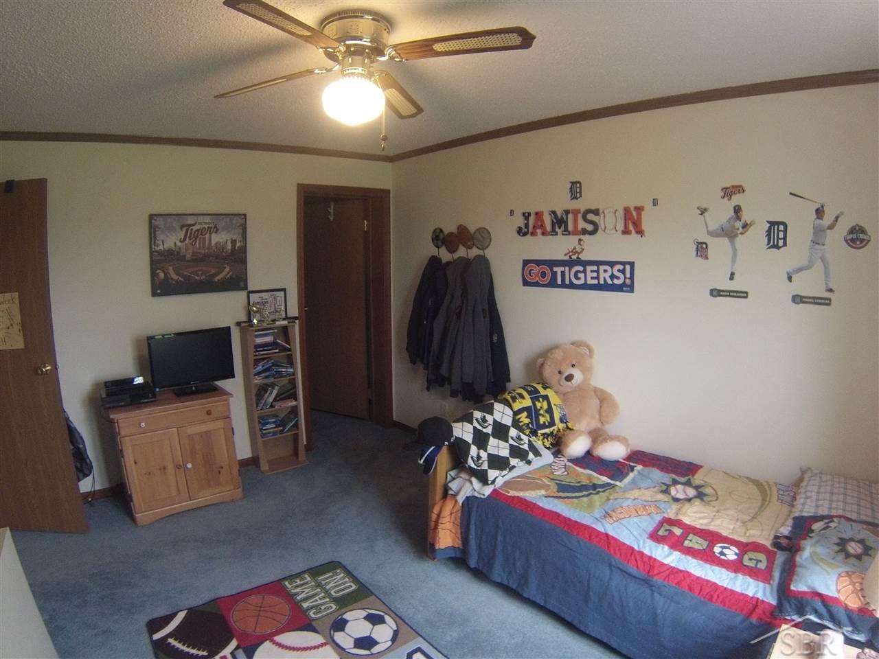 10787 Dice Road Freeland, MI 48623 - Photo 14 of 20 31289163-13.JPG