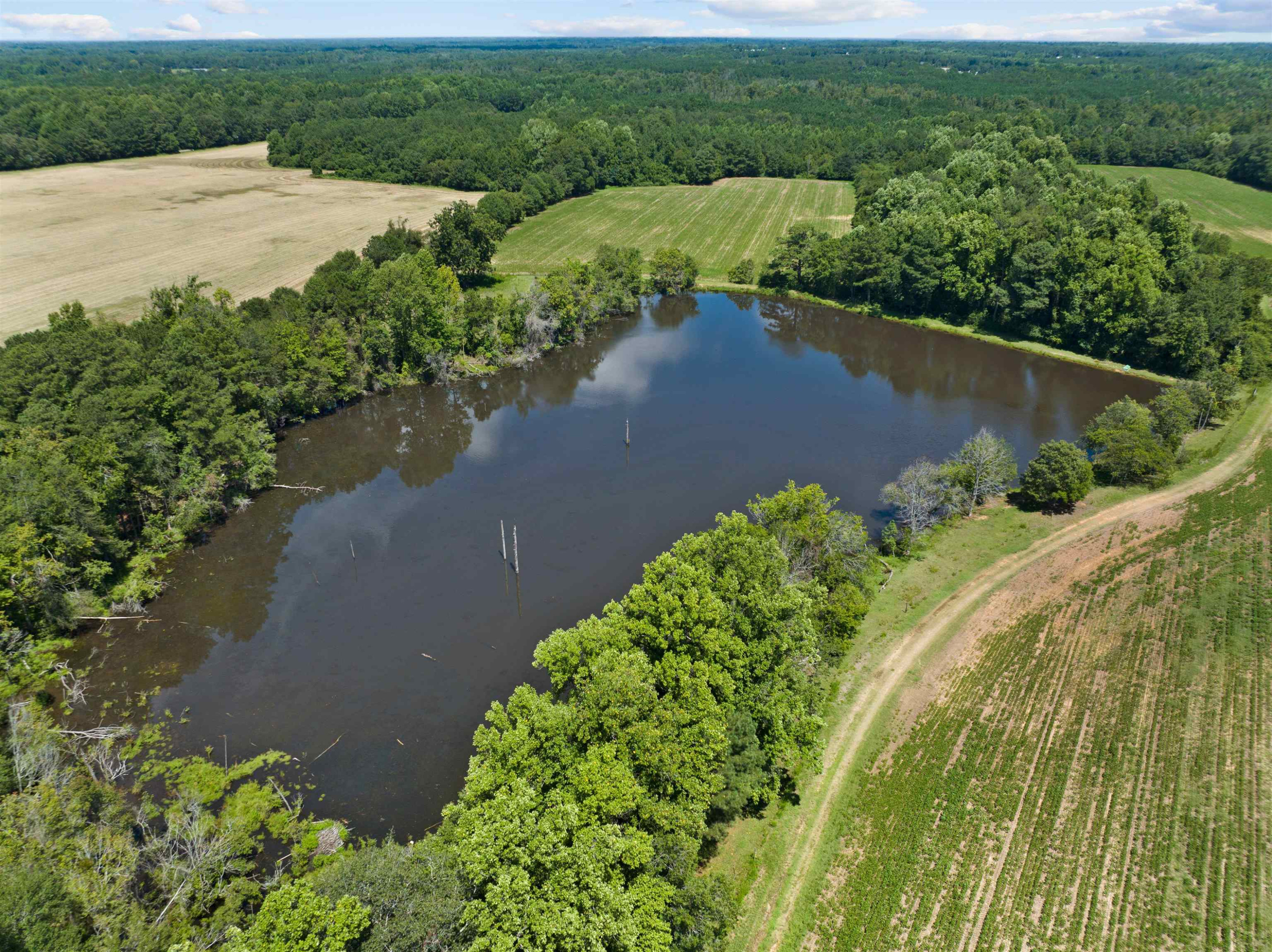 O Mann Road Coats, NC 27521 - Photo 3 of 9 Photo 3