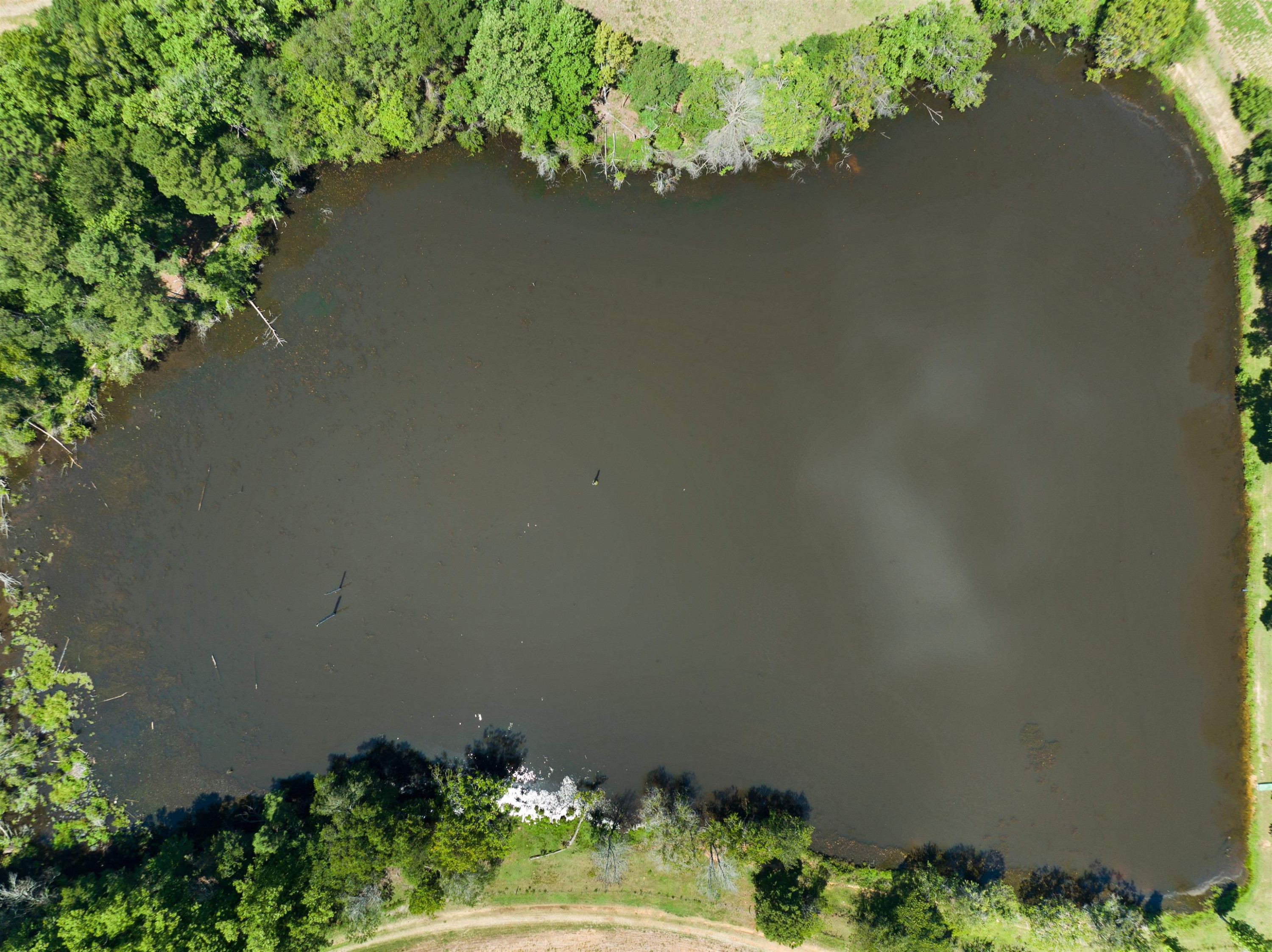 O Mann Road Coats, NC 27521 - Photo 4 of 9 Photo 4