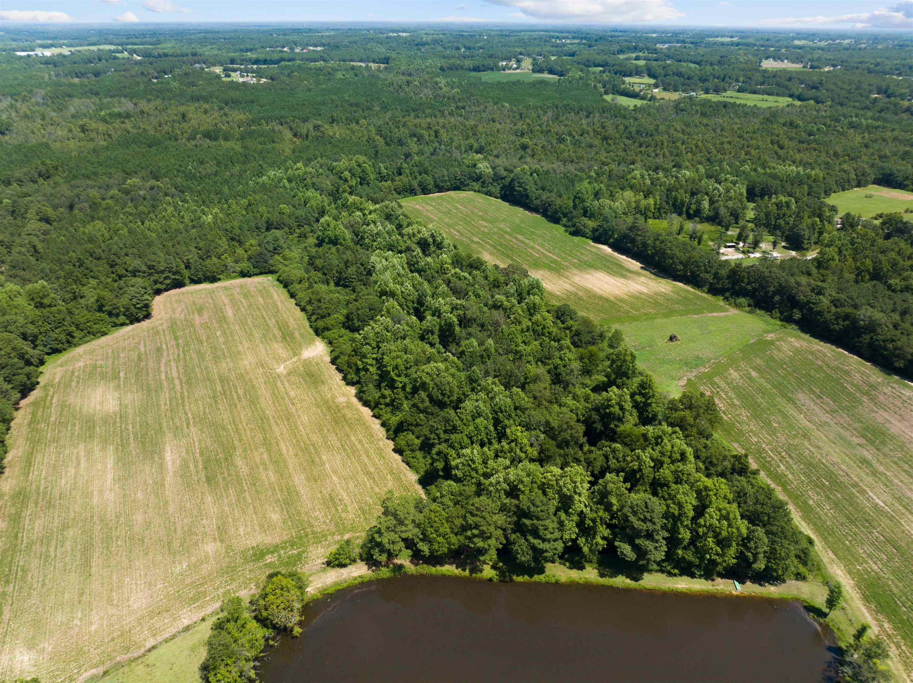 O Mann Road Coats, NC 27521 - Photo 5 of 9 Photo 5