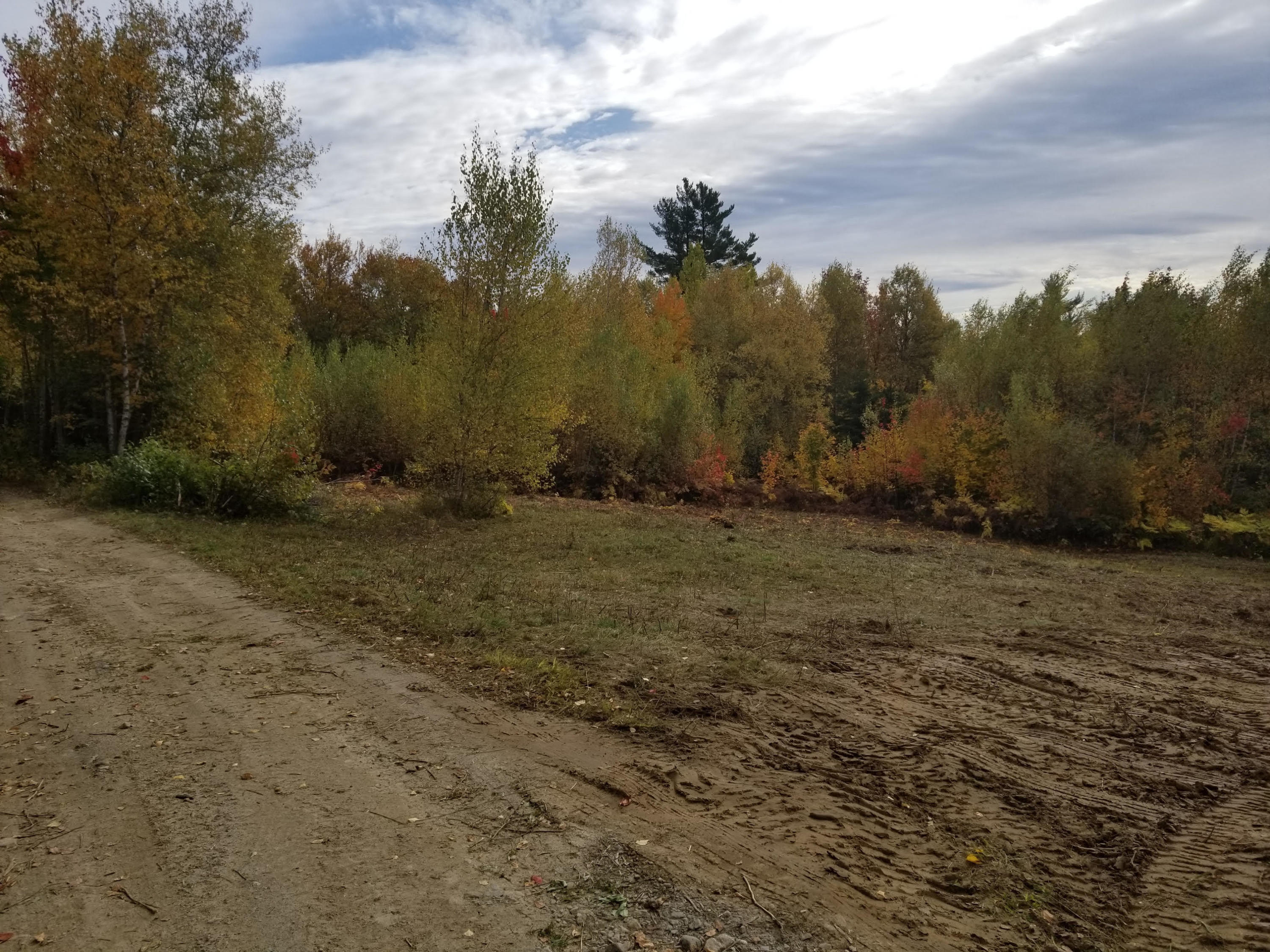Tbd James Jipson Road Burlington, ME 04417 - Photo 3 of 15 unnamed (31)