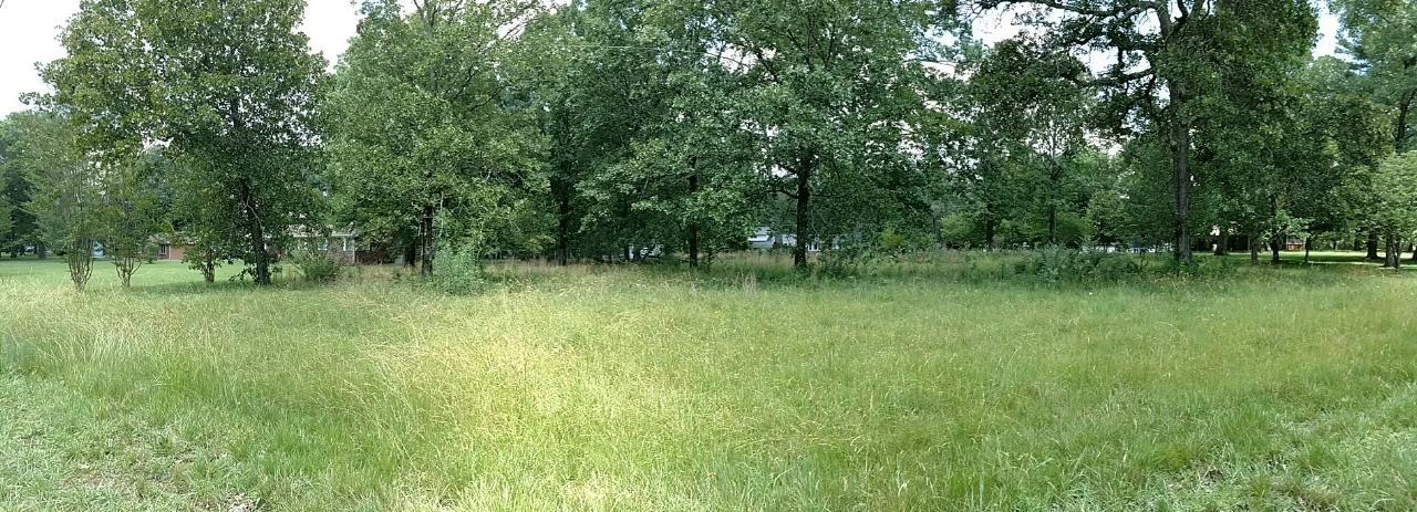 Nice large home site