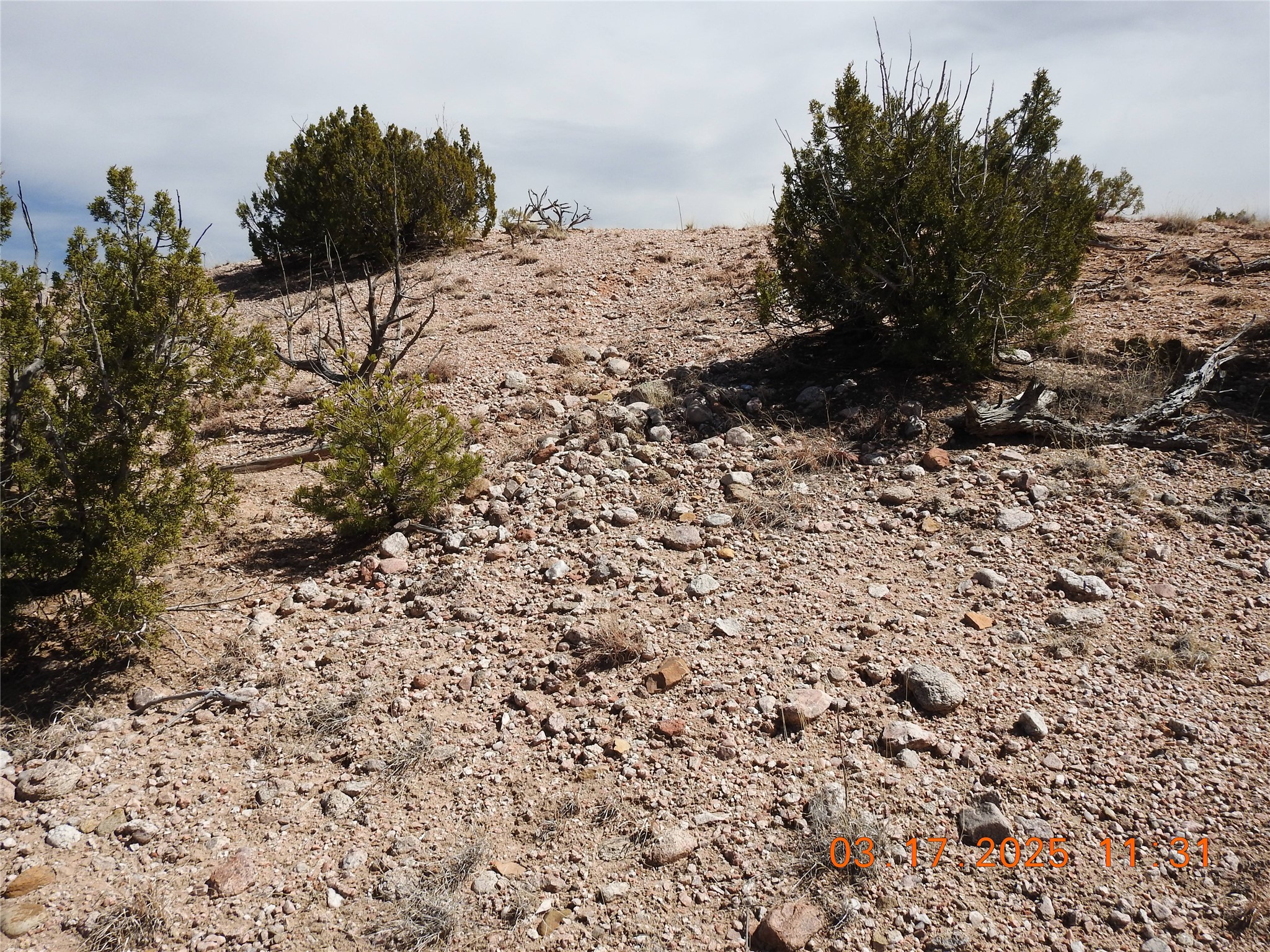 0 Wildass Road Santa Fe, NM 87506 - Photo 5 of 26