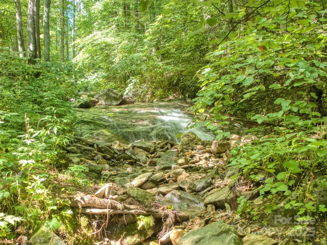 a view of a big yard