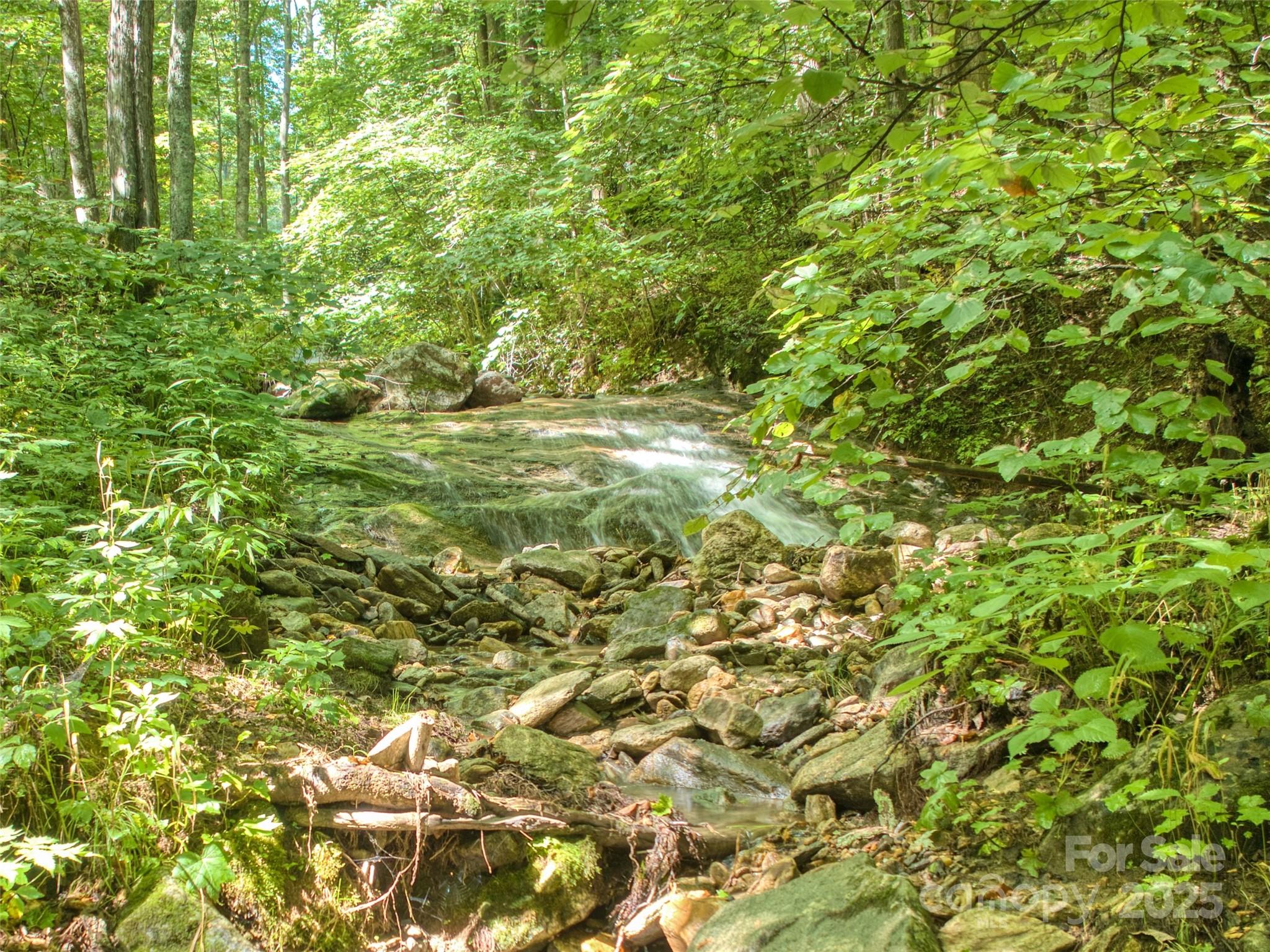 4828 Max Patch Road Clyde, NC 28721 - Photo 12 of 41 a view of a big yard