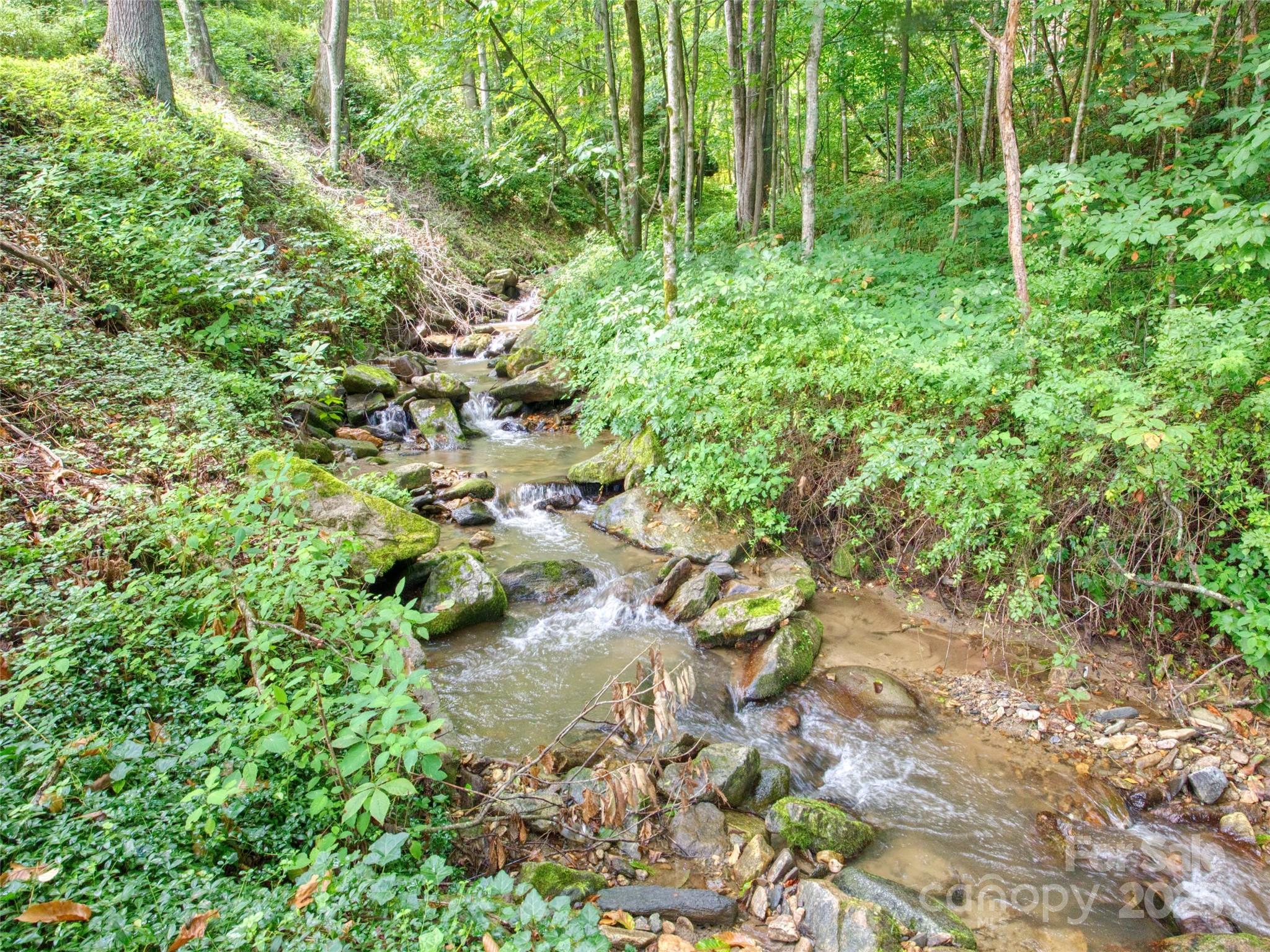 4828 Max Patch Road Clyde, NC 28721 - Photo 13 of 41 a backyard of a house with lots of green space
