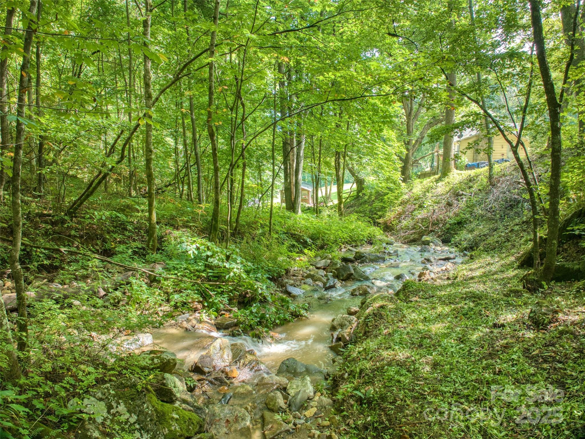 4828 Max Patch Road Clyde, NC 28721 - Photo 14 of 41 a view of a garden