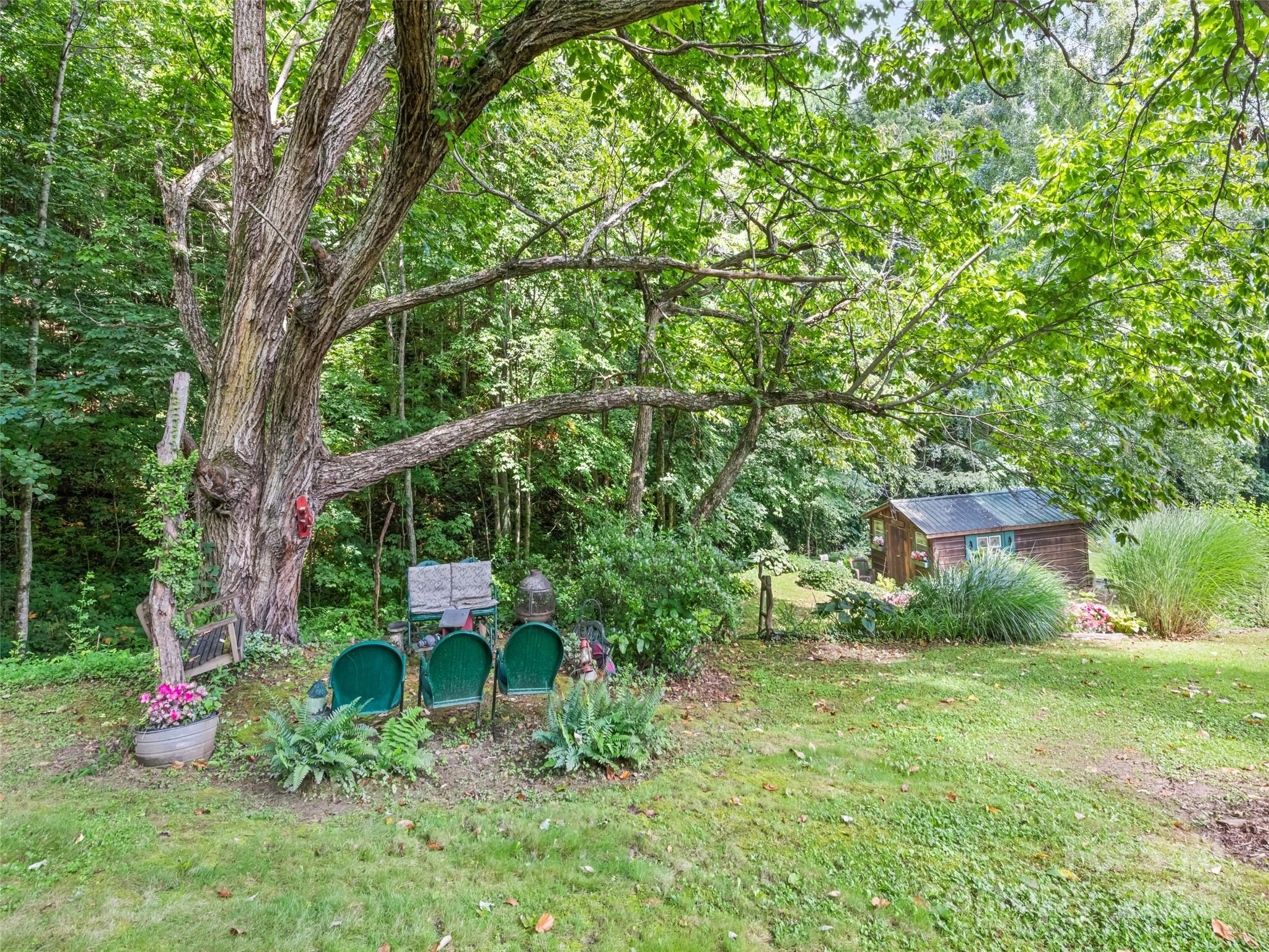 4828 Max Patch Road Clyde, NC 28721 - Photo 15 of 41 a backyard of a house with table and chairs plants and large trees