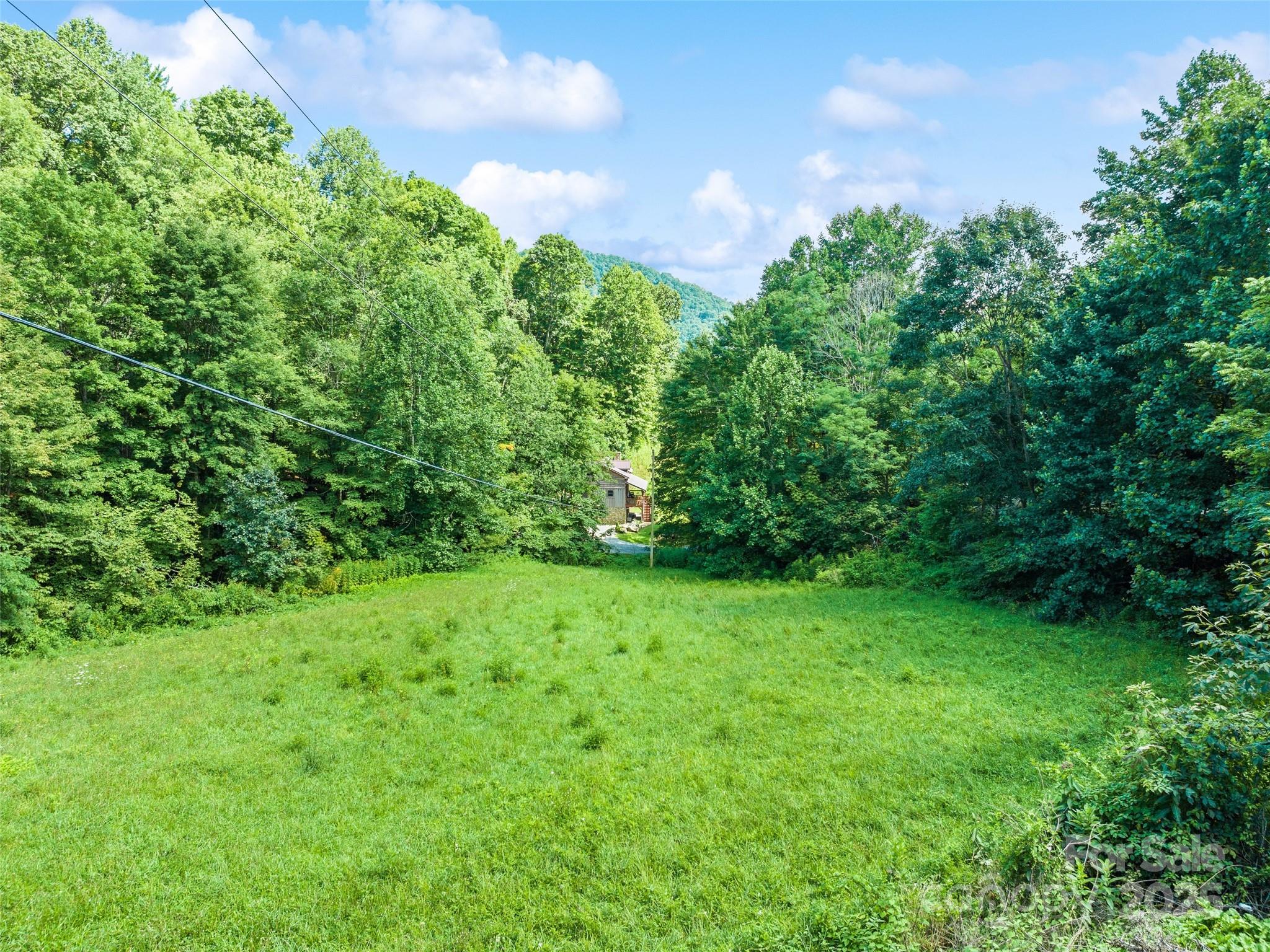 4828 Max Patch Road Clyde, NC 28721 - Photo 21 of 41 a view of a lush green space