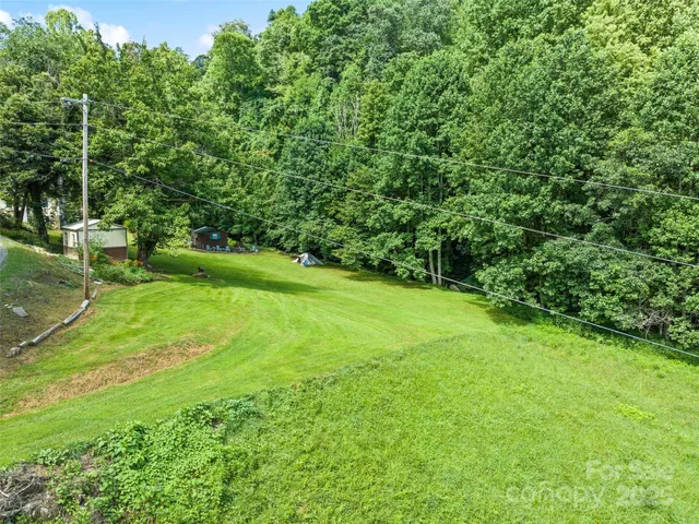 a view of a grassy field with trees in the background