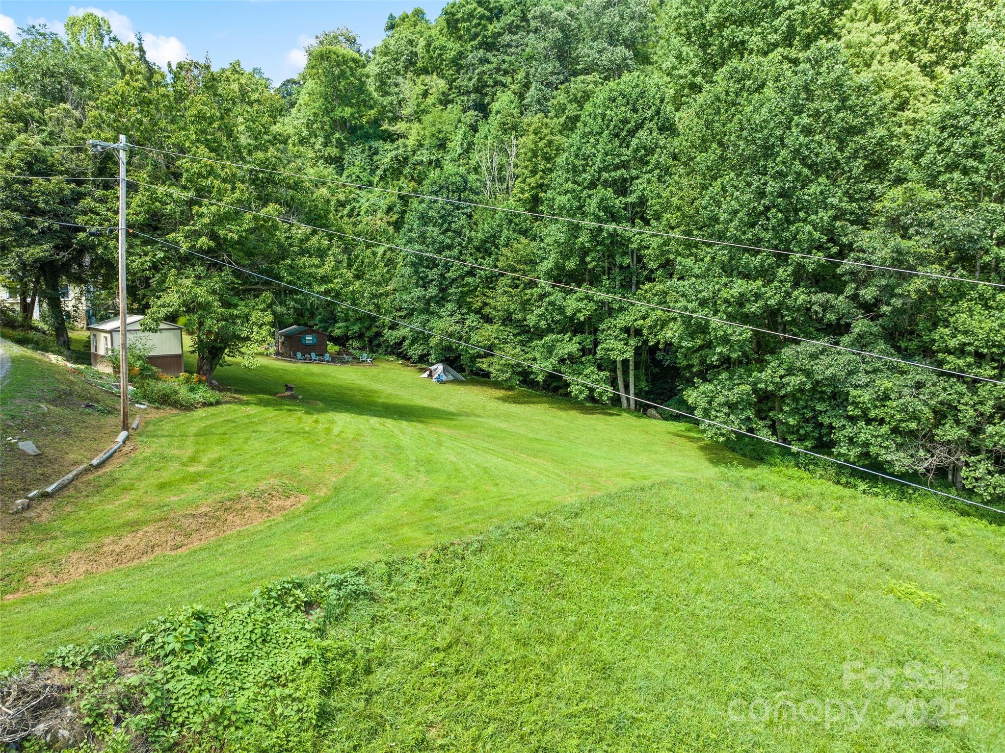 4828 Max Patch Road Clyde, NC 28721 - Photo 22 of 41 a view of a grassy field with trees in the background