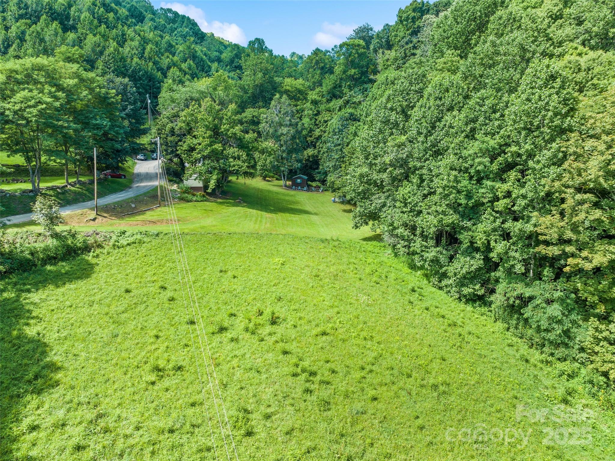 4828 Max Patch Road Clyde, NC 28721 - Photo 23 of 41 a view of a yard with a small pool