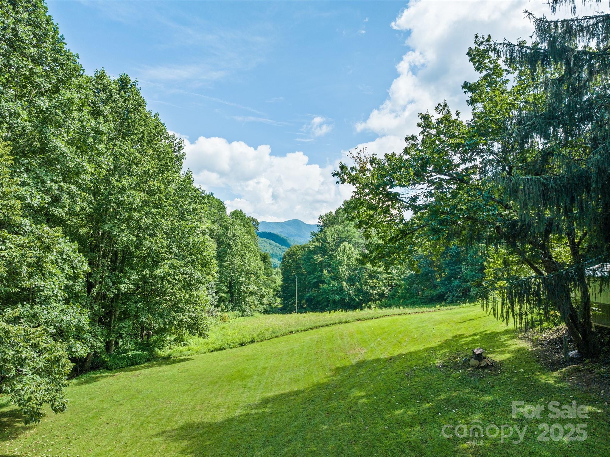 4828 Max Patch Road Clyde, NC 28721 - Photo 9 of 41 a view of yard with green space